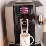 Modern In Plush Town *