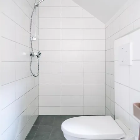 Modern In Plush Town Villa