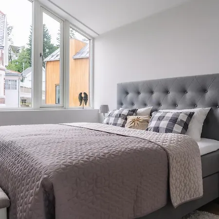 Modern In Plush Town