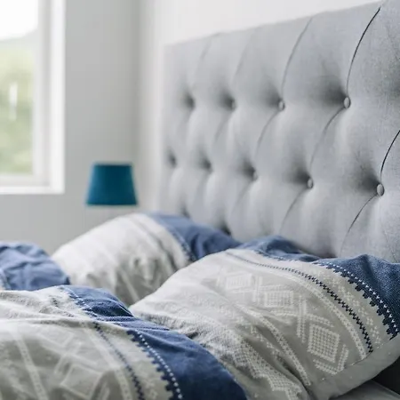 Modern In Plush Town