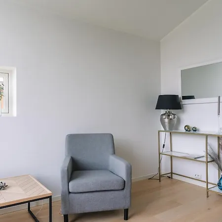 Modern In Plush Town *