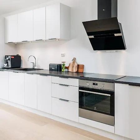 Modern In Plush Town Villa *