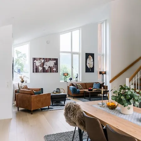 Modern In Plush Town