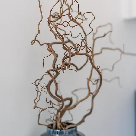 Modern In Plush Town Villa