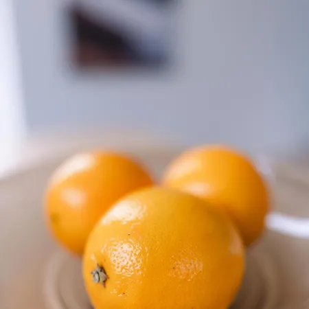 Modern In Plush Town *