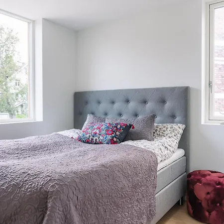 Modern In Plush Town Villa