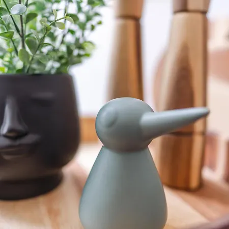 Modern In Plush Town