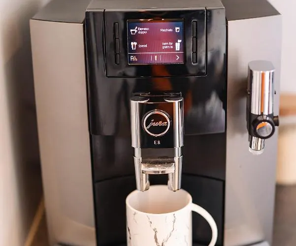 Modern In Plush Town *