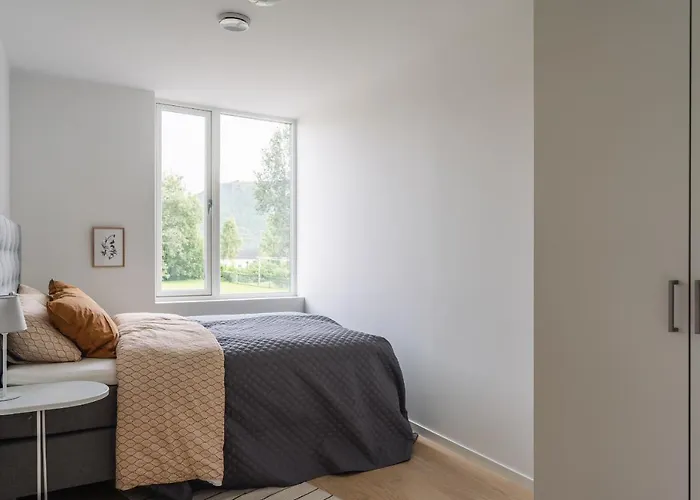 Modern In Plush Town *