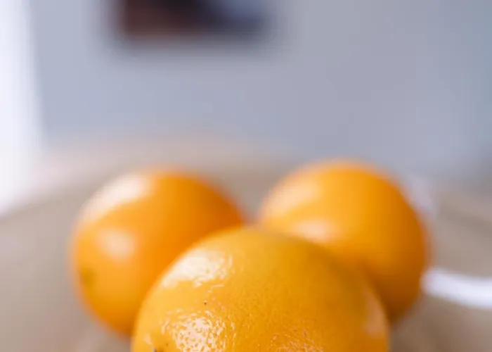 Modern In Plush Town *