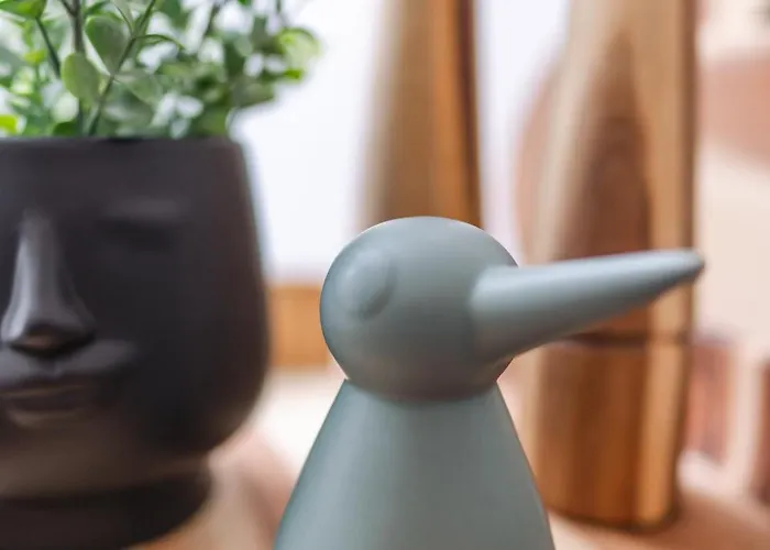 Modern In Plush Town