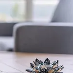 Villa Modern In Plush Town
