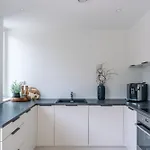 Modern In Plush Town